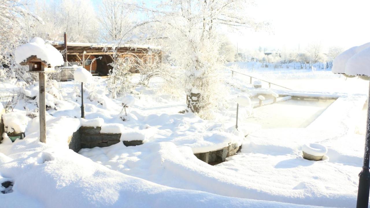 Bio Archehof Zachhiesen Apartman Seekirchen am Wallersee Kültér fotó