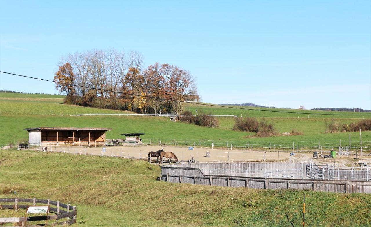Bio Archehof Zachhiesen Apartman Seekirchen am Wallersee Kültér fotó